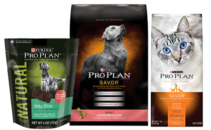 Best friends pet care coupons printable