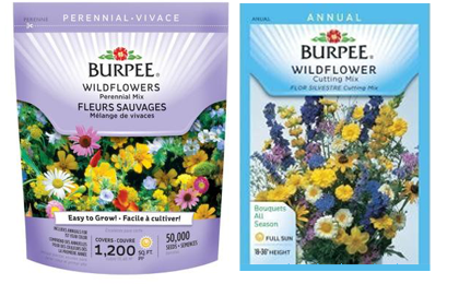 FREE Wildflower Garden Seeds Pack by Burpee! - Simple Coupon Deals